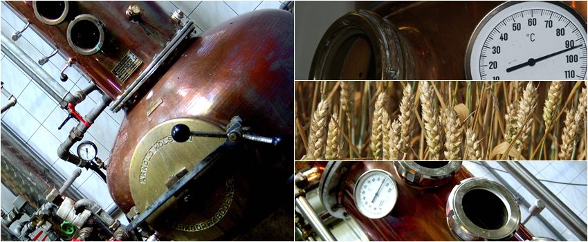 Mastering the First Impression: Your intriguing post title goes here Rhoenschnaps 1
